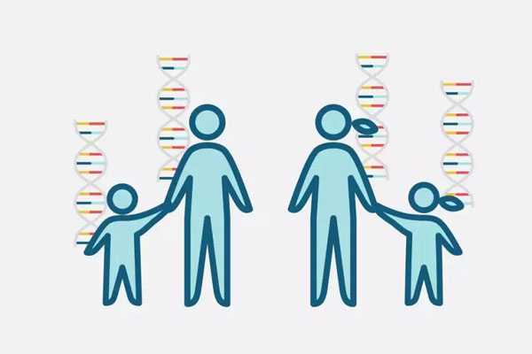 第三代试管婴儿技术(PGD)可以筛查出哪些遗传疾病？