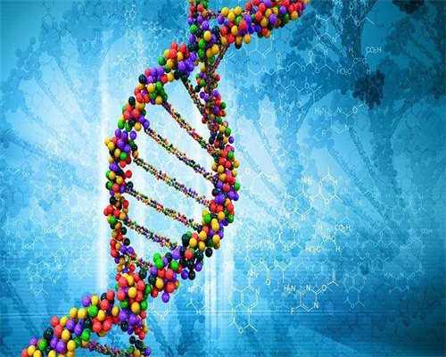杭州单角子宫试管_有生理缺陷或疾病不能生育的助孕全解析-嘉禧孕育