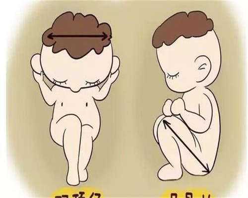 杭州绝经过早供卵